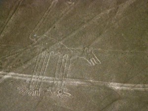 nazca-lines-dog